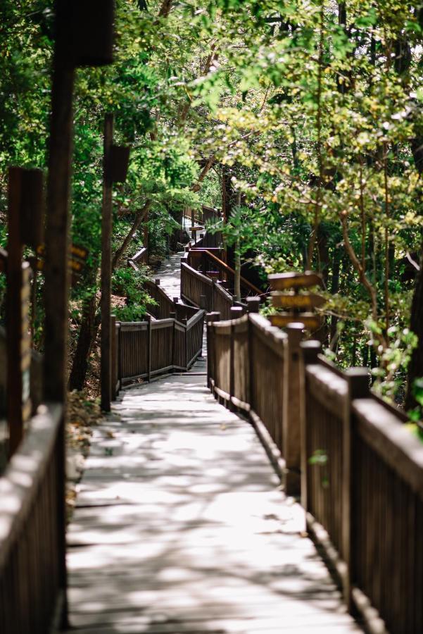 Aqua Oceanfront Hotel Resort El Gigante エクステリア 写真